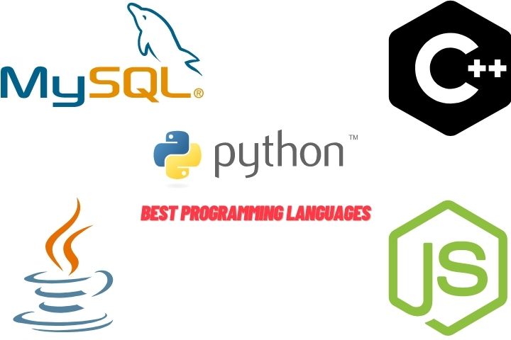 The Best Programming Languages to Learn in 2022