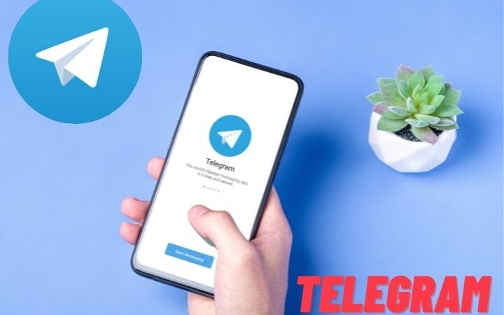 Telegram Business Mastery: How to Use Telegram for Your Business