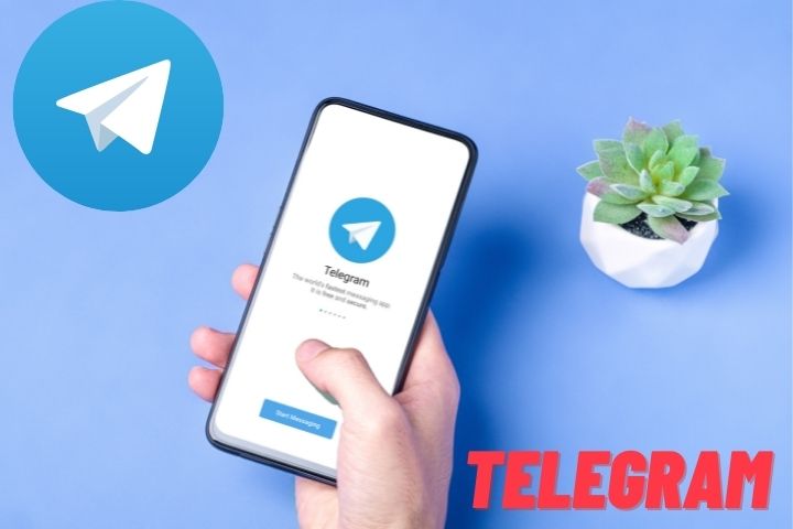 Telegram Business Mastery: How to Use Telegram for Your Business
